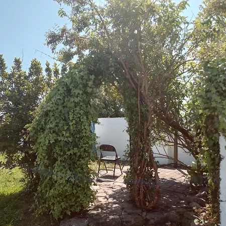 Casa vacanze Comfy
